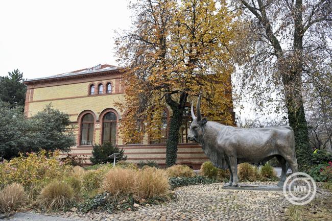 Felavattk az llatorvostudomnyi Egyetem Istvn utcai feljtott pavilonpleteit