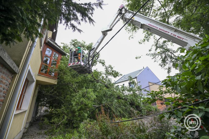 Vihar - Kidőlt fa, kettétört villanyoszlop Debrecenben