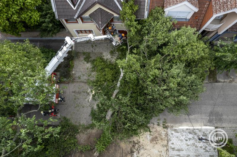 Vihar - Kidőlt fa, kettétört villanyoszlop Debrecenben