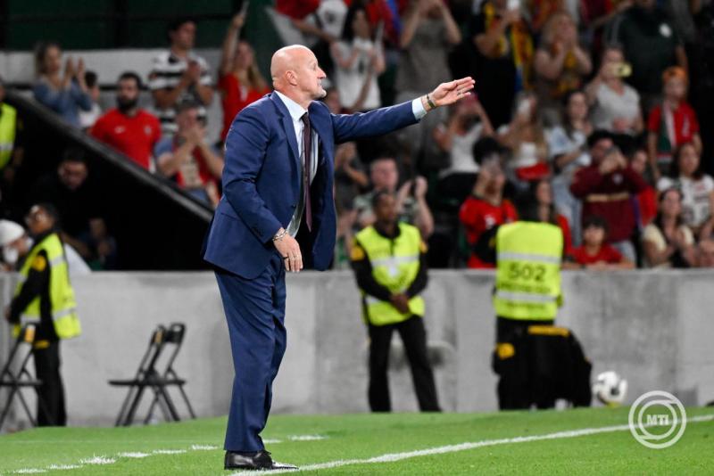 Labdarúgó vb-selejtezők - Portugália-Magyarország