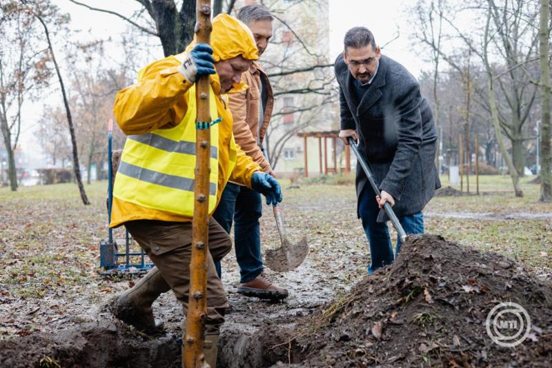 A Déli Körvasút fejlesztés részeként átfogó fatelepítési program indult és új zöldfolyosó létesül