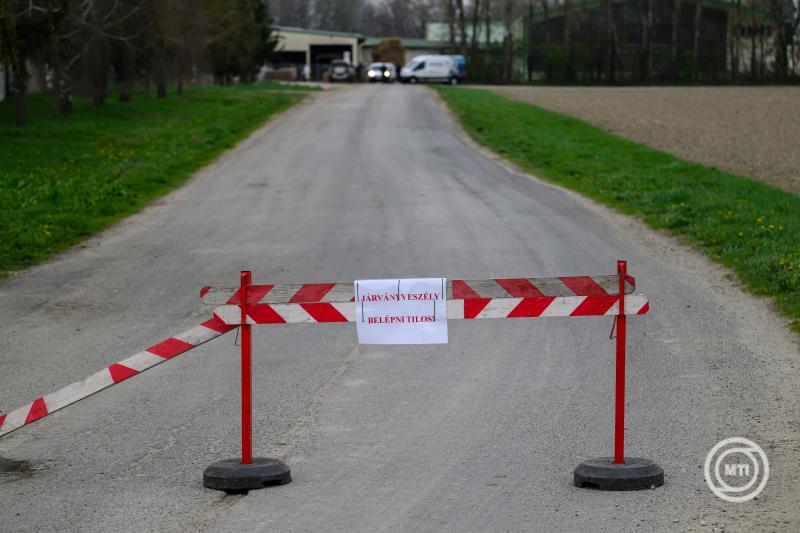 Újabb két telepen jelent meg Győr-Moson-Sopron vármegyében a ragadós száj- és körömfájás vírusa