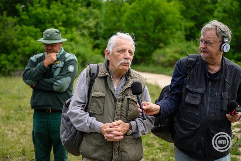 Tízéves magyar-olasz erdőhelyreállítási projekt zárul az idén