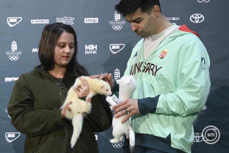 Sajttjkoztat az egy v mlva kezdd tli olimpiai jtkok eltt Budapesten