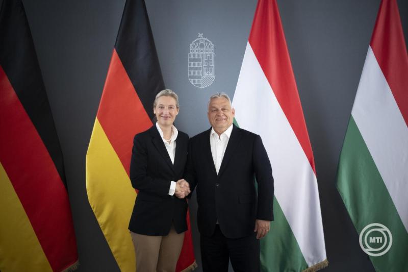 Orbán Viktor Alice Weidellel tárgyalt