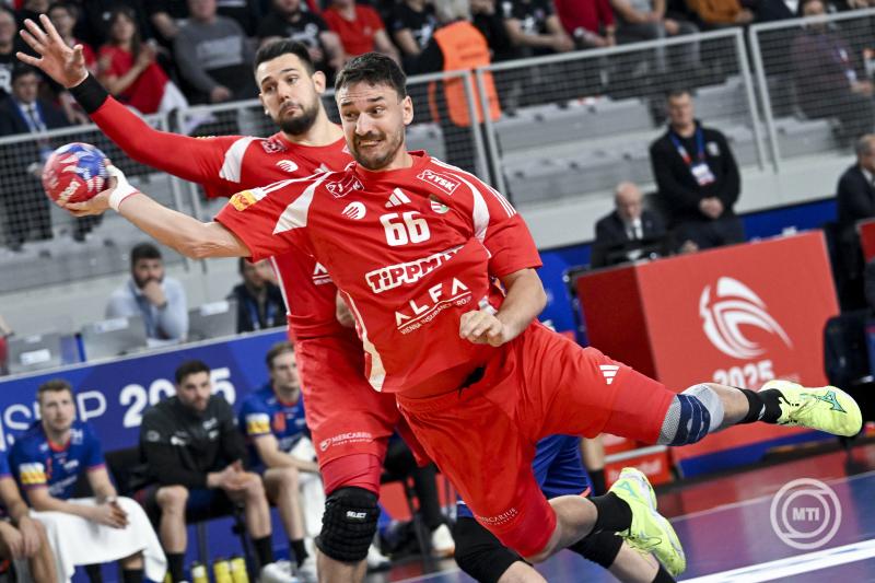 Férfi kézilabda-vb - Magyarország-Hollandia