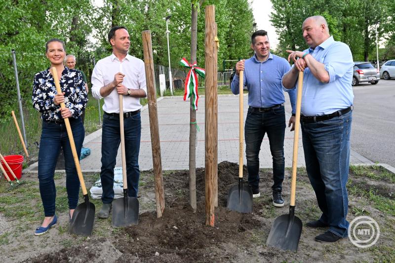 A Föld napja - Faültetés a Kozma István Magyar Birkózó Akadémián