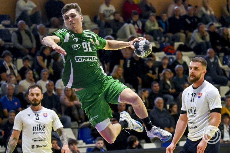 Férfi kézilabda Eb-selejtező - Szlovákia - Magyarország