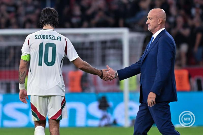 Labdarúgó vb-selejtező - Magyarország - Portugália