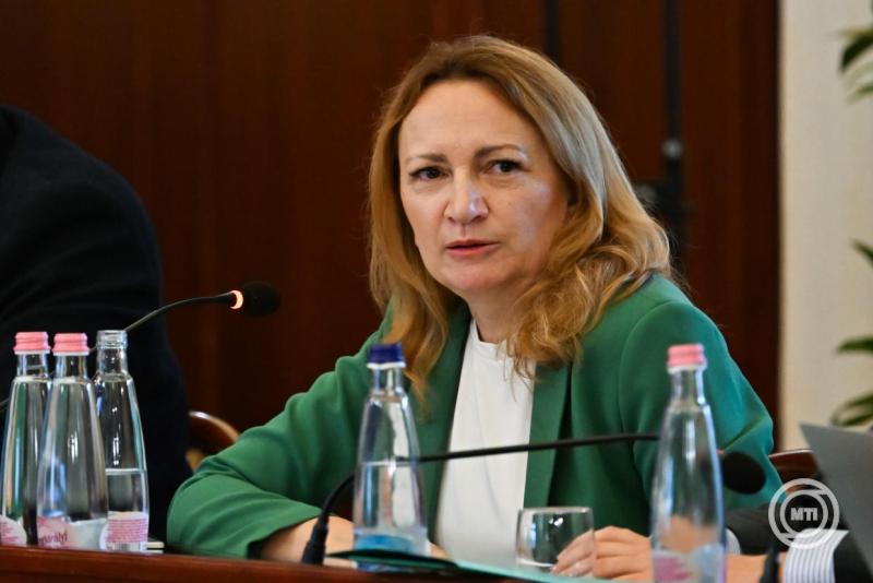 A Fővárosi Közgyűlés ülése
