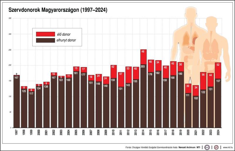 Szervdonációk száma Magyarországon, 1997-2024