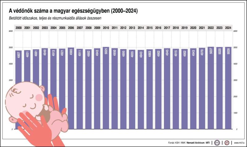 A védőnők száma a magyar egészségügyben (2000-2024)