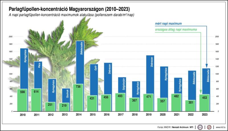 Parlagfűpollen-koncentráció Magyarországon (2010-2023)