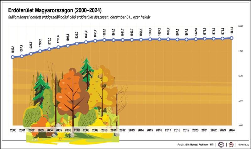 Erdőterület Magyarországon, 2000-2024
