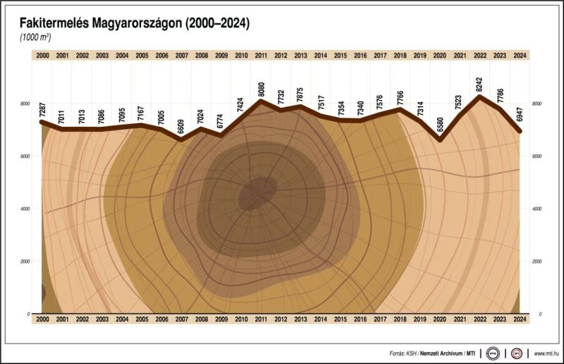 Fakitermelés Magyarországon, 2000-2024