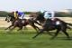 A Szerencsejáték Zrt. 103. Magyar Galopp Derby a Kincsem Parkban