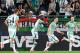 Európa-liga - Ferencváros-Trabzonspor