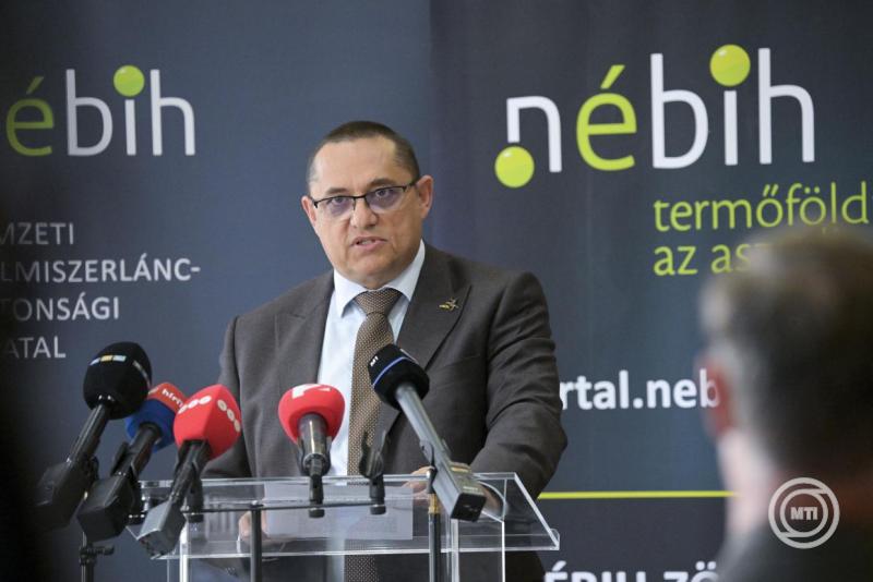 A Nébih az afrikai sertéspestis megjelenését igazolta Szabolcs-Szatmár-Bereg vármegyében