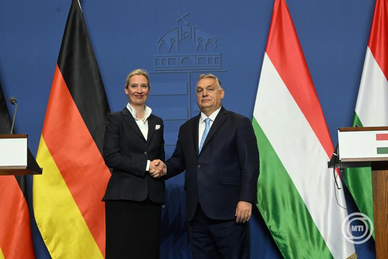 Orbán Viktor fogadta a német AfD társelnökét